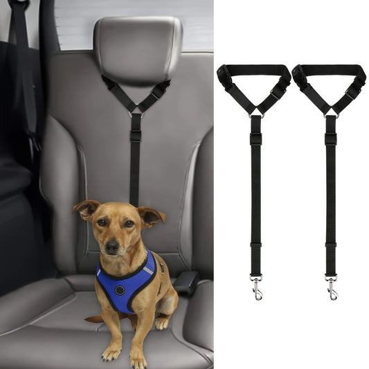 The Two -Piece Dog Leash Set