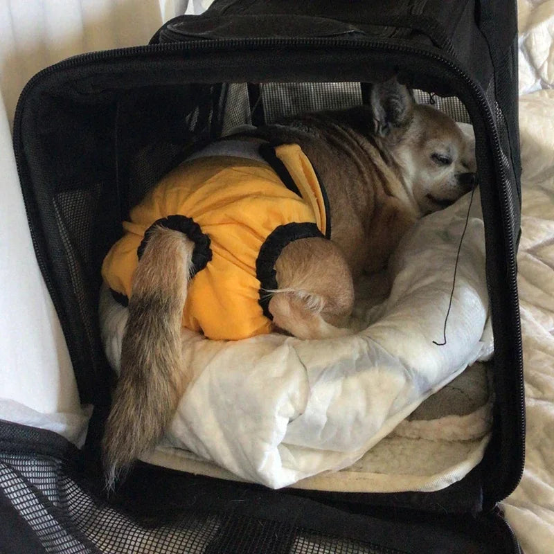 Reusable Sanitary Diapers